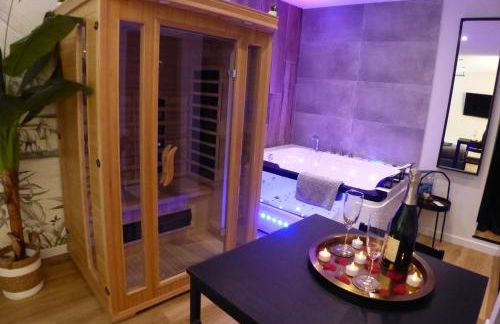 Appartement balnéothérapie et sauna hyper centre - Foto 8