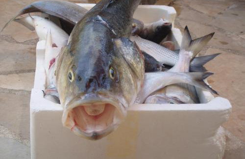 Holiday Home By The Sea--Bougainvillea - Foto 35