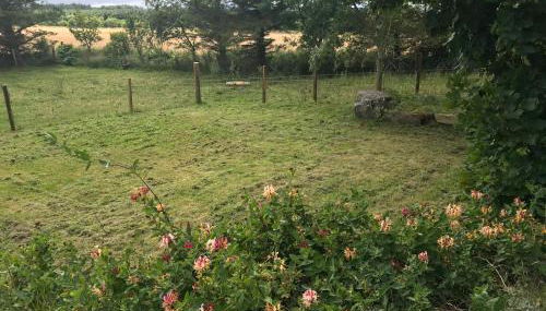 Crossgates, Rosehearty - Foto 5, Garden