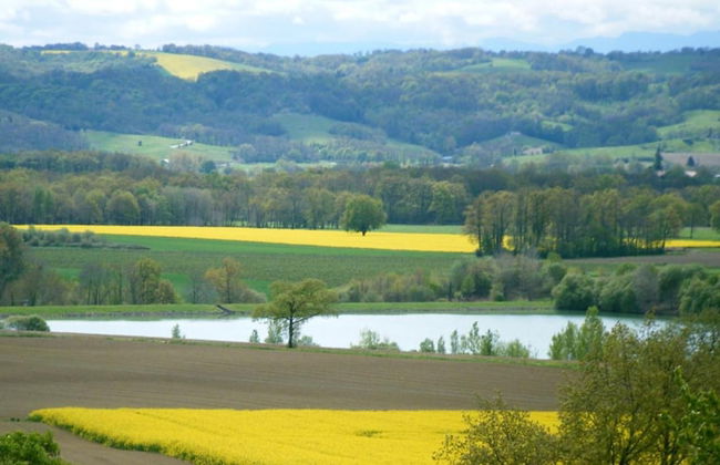 Gite Au Bouzigues - Foto 27