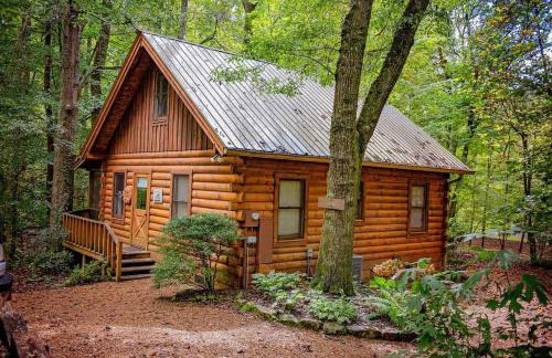 Creek Crest Cabin Ocoee Riverside Cabin - Foto 20