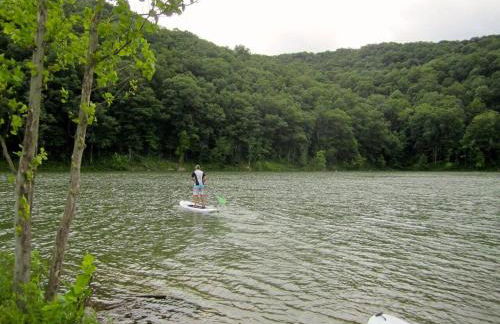 Alice Rocks - Pet Friendly, Firepit, WiFi - Foto 35