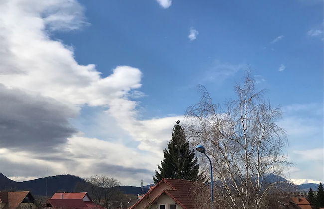 Vila William's - Photo 23