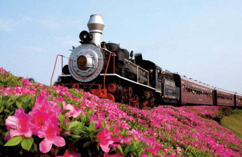 Piccolo Recanto - Foto 17