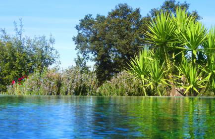 Sharish - Monte Das Estevas - Foto 12