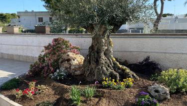 Resort Villa La Perla Sul Mare - Foto 5, Garden