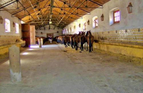 6 Persoons Vakantiewoning Portugal - Casa do Balão - en - Casa Pequeno Pintor - Foto 6