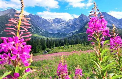 Domek pod Kozińcem SAUNA JACUZZI Zakopane - Foto 54