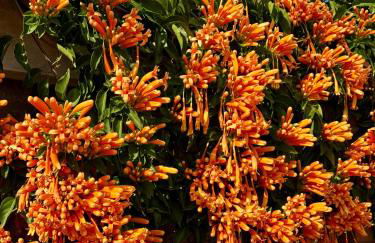 Mon paradis au soleil - Photo 70