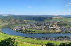 Ferienwohnung Moselblümchen Amelie - Foto 9