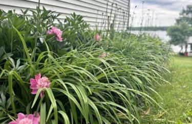 Embrace Nature in this Breathtaking Cottage in Portage Lake, Maine - Foto 38