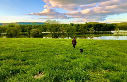 Fryars' Green at Tennessee RiverPlace - Foto 80