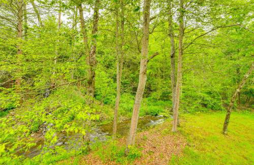 Serene Duplex with On-Site Brook in Callicoon Center - Foto 24