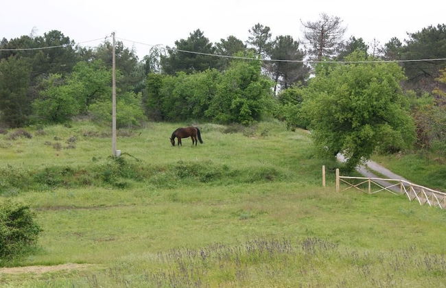 Agriturismo Sinciano - Foto 32