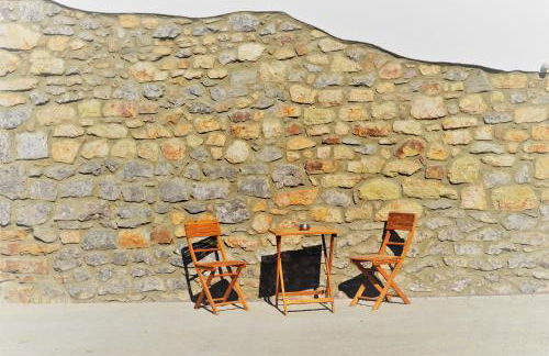 Beim Hooch. Egon - Foto 3