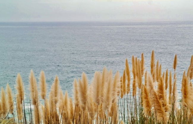 Lovely Apartment in Carvoeiro - Foto 22