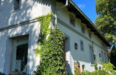 Siedlisko Blanki - Foto 40