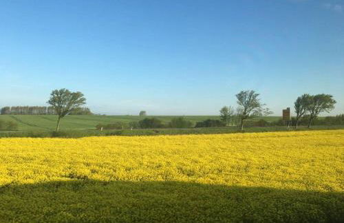 Black-headed Gull Comfortable Holiday Residence - Foto 36