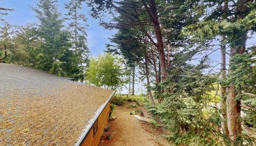 Tides & Timber - Foto 3