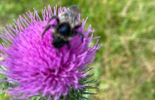 Charaktervolle Whg mit Parkplatz nähe Kassel - Foto 38