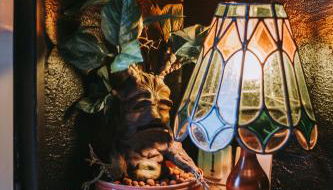 Le gîte du Sorcier 89 - Foto 2