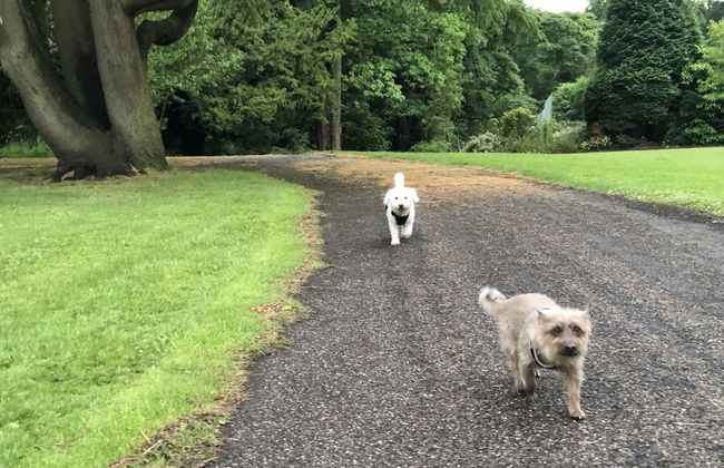 4-bed Detached, Pet Friendly House in Nelson - Foto 40