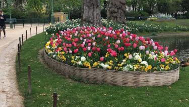 Charmant studio confortable dans la plus belle capitale - Foto 2, Garden