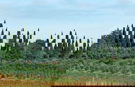 Agriturismo Fattoria Santa Vittoria - Foto 44