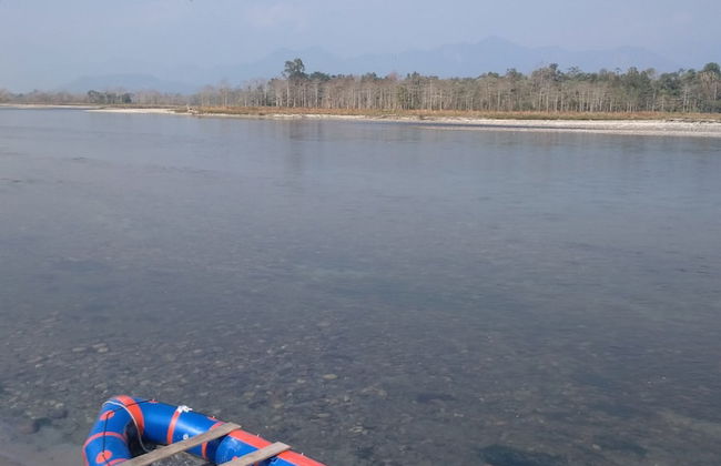 Wild Mahseer - Foto 43