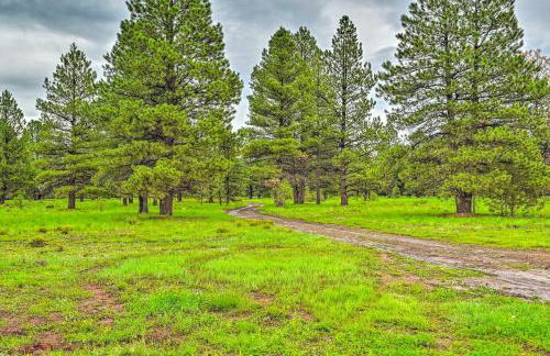 Bellemont Family Home with Hot Tub and Playground Set - Foto 30