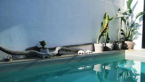 Casadasfurnazinhas - Foto 5