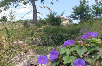 Quinta da Costeira - Casa Azul do Limoal by ALPONTE - Foto 90