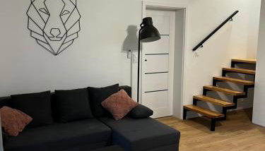 Szyszki i Motyle - Foto 2