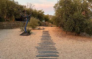 Quinta dos Piscos - Foto 20