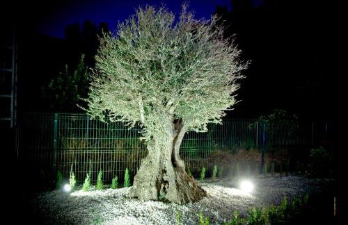 Casas Rurales Los Olivos - Foto 55