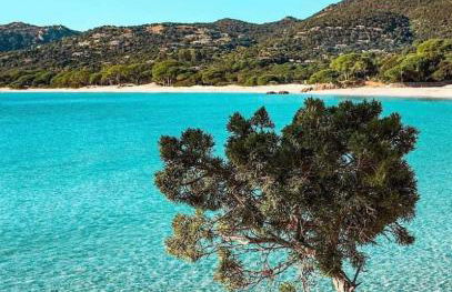 VILLA LE CORAIL ROUGE CORSE - Foto 34