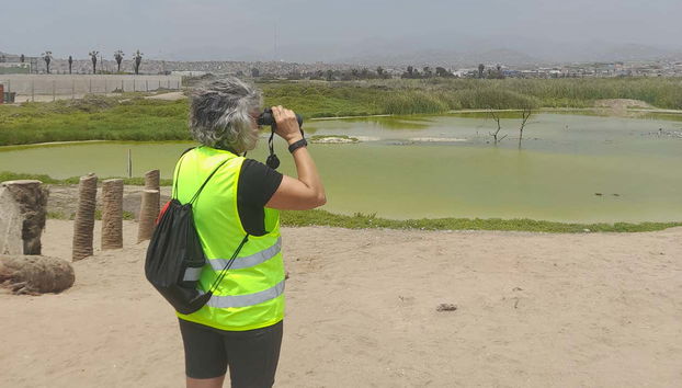 Divertissement garanti !