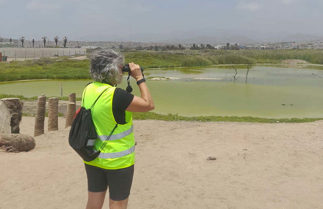 Balade à vélo à travers Miraflores et Barranco + Visite de Los Pantanos de Villa - Photo 4