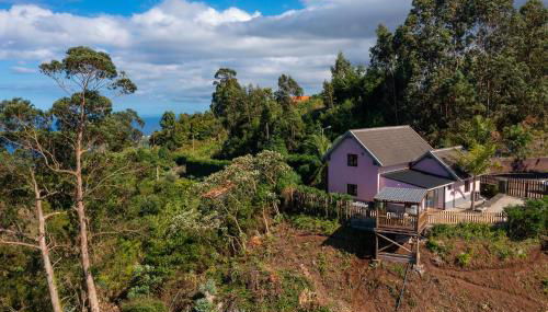 Sunset Village by Holiday Rental Madeira - Foto 3, Garden, Garden view