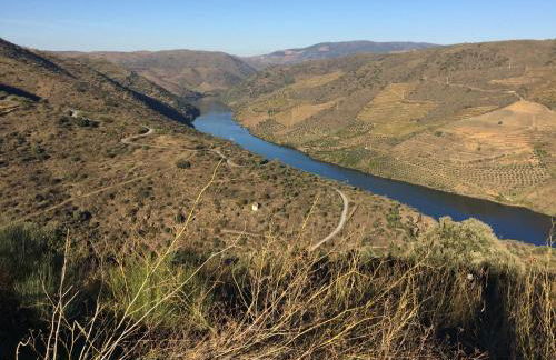 Casa da Muralha - Foto 49