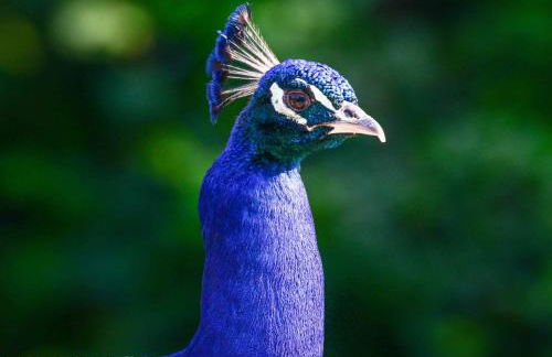 BioAgriturismo Vegan Campo di Cielo - Photo 80