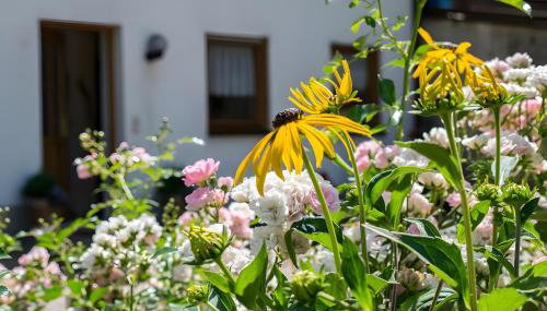 Gästehaus Resi - Foto 3