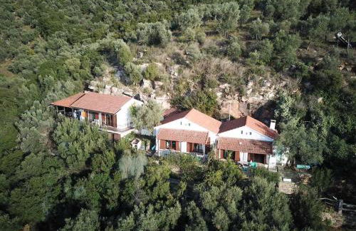 Dimitra Apartments - Foto 38