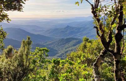 Golf & Sea Residence Is Molas - Foto 57