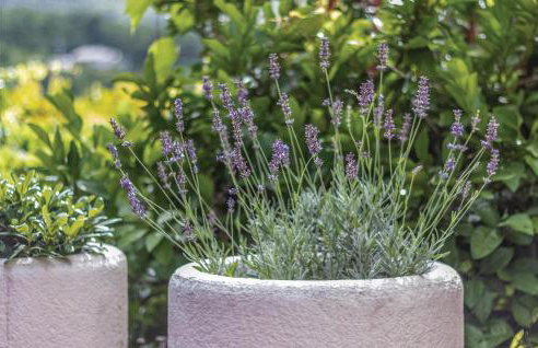 Holiday Home Kucice Put Povila - Photo 12