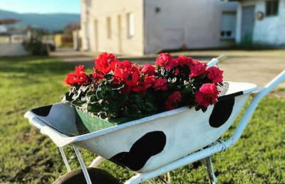 Viviendas uso turístico REME II - Foto 1