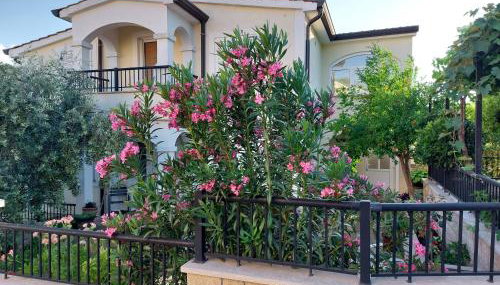 Apartment Kumbaya-Mušalež - Foto 2, Garden