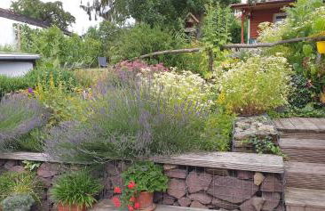 Ferienwohnung Zur Ellernmühle - Foto 16