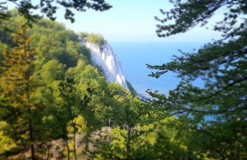 Ferienhaus Am Anger - Foto 28