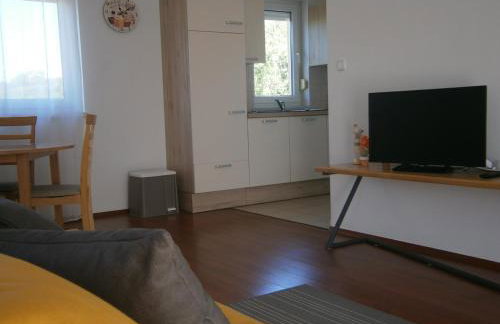 Zobić Family Apartments - Photo 31